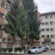 saga adeverinței false de la spitalul aiud: Șefa biroului care