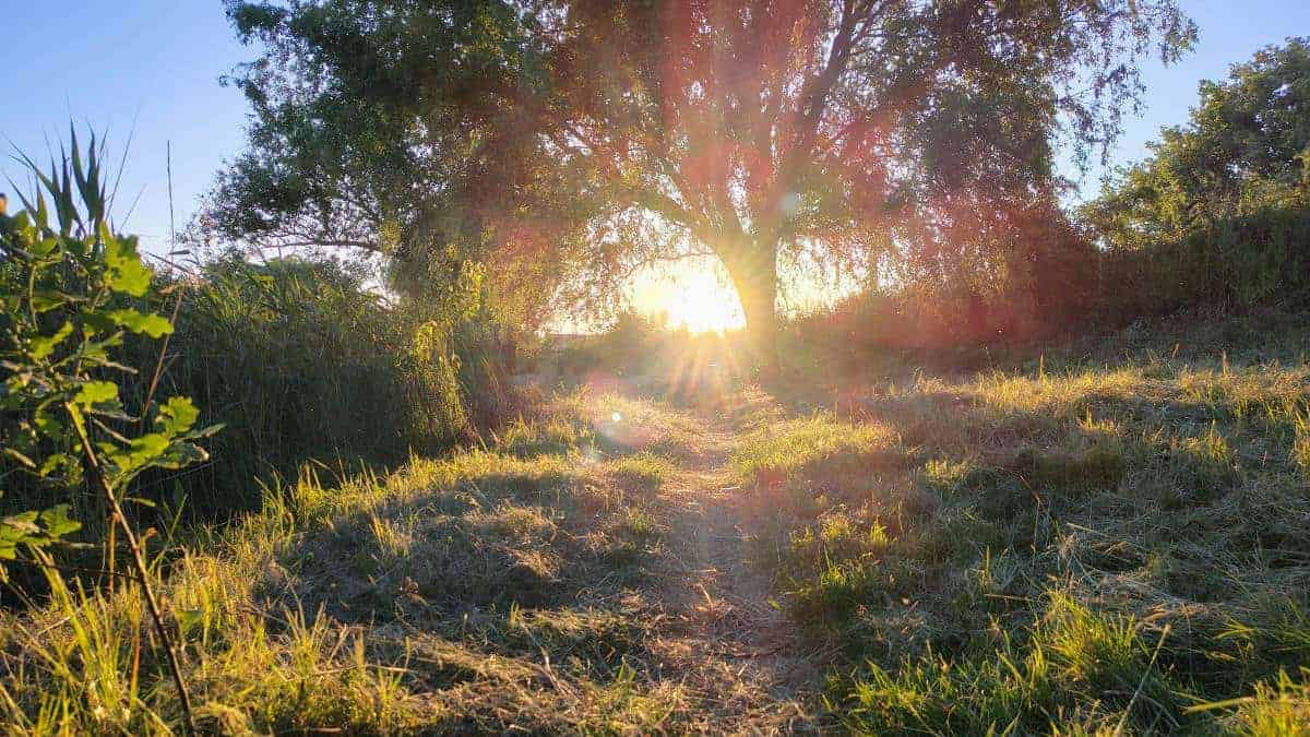 vara 2026 în europa: ce schimbări majore anunță meteorologii. impactul