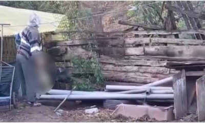 bărbat de 78 de ani din comuna meteș, cercetat de