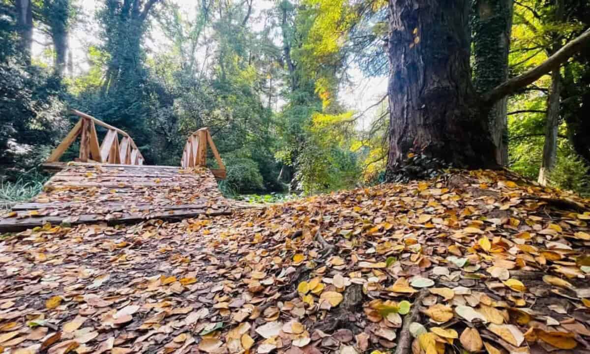 cum va fi vremea în toamna 2026 în europa și