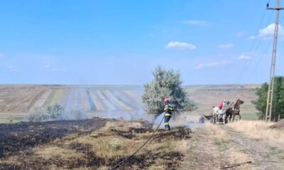 două incendii de vegetație uscată, la vorniceni și mănăstirea doamnei.