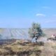 două incendii de vegetație uscată, la vorniceni și mănăstirea doamnei.