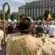 „ne a ajuns cuțitul la os”: protest al oierilor în piața
