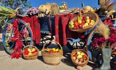 târgul apulum agraria 2026, la ighiu: utilaje agricole, parada bovinelor,